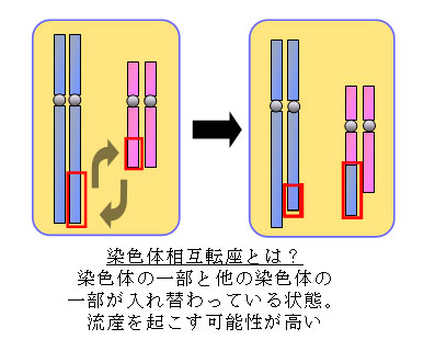 labo100203-2.jpg